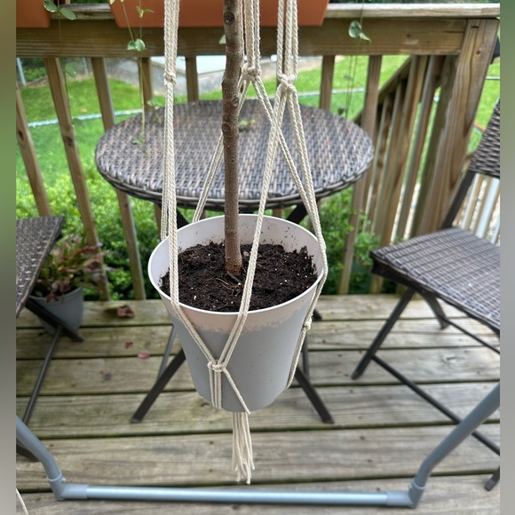 Macrame Plant Hanger. Handmade by me, made to order! - Picture 3 of 7